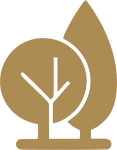 Projects landscaping